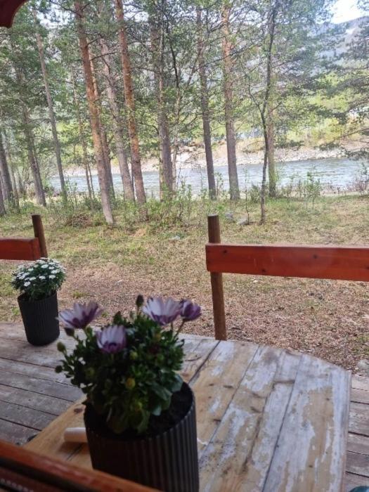 Torfoss Gard, Hytte Utleie, Campingvogn Og Bobil Plasser Potka المظهر الخارجي الصورة